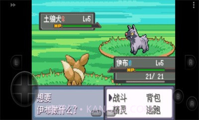 口袋妖怪四季之约截图3 口袋妖怪四季之约截图3