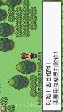 口袋妖怪：极光石截图1