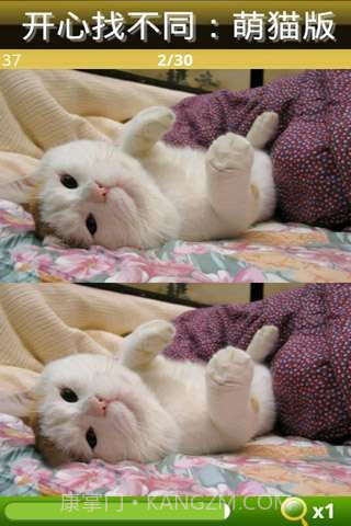 开心找不同-萌猫版截图3 开心找不同-萌猫版截图3