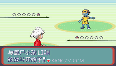 口袋妖怪：蛇纹木截图2