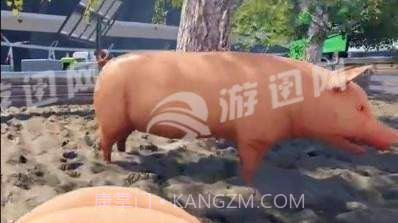 自己是一只猪截图2 自己是一只猪截图2