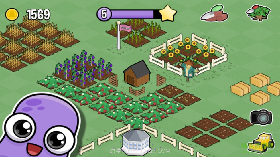 我的农场无限金币截图1 我的农场无限金币截图1
