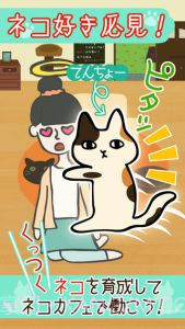 猫咪咖啡厅截图3