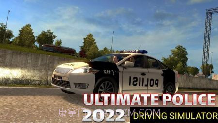 警察汽车追逐模拟器2022截图2 警察汽车追逐模拟器2022截图2