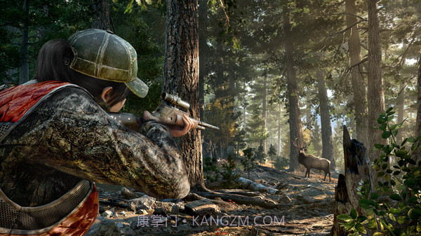 孤岛惊魂5截图4