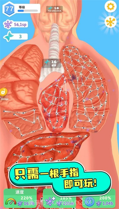 人体测试人体细胞连接截图1