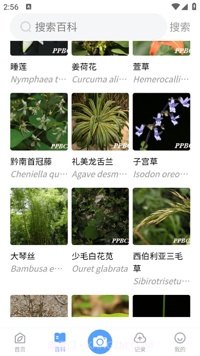 植物智截图2 植物智截图2
