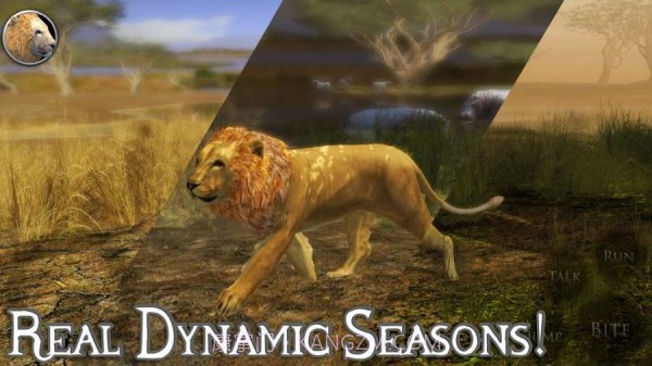 终极狮子模拟器2截图4