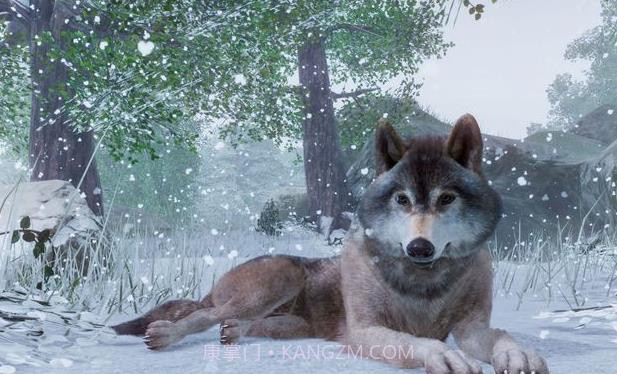 动物园之星免费截图5 动物园之星免费截图5