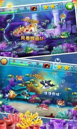 大鱼吃小鱼2中文版截图2