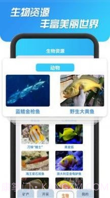 海洋寻宝记截图4
