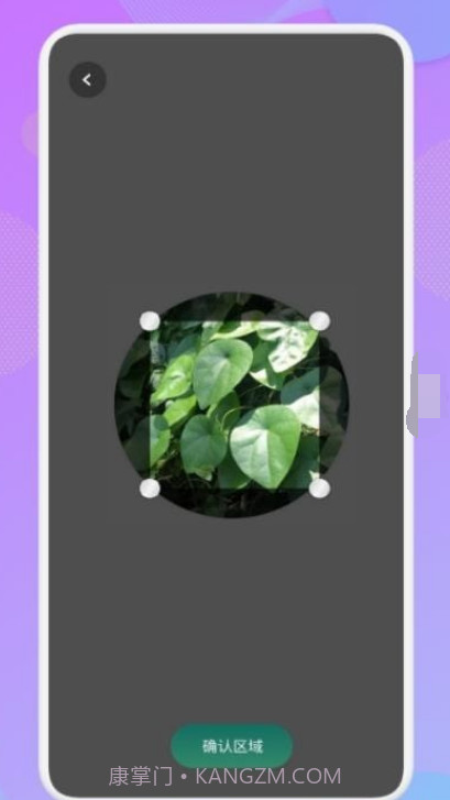 智能识图识物截图1 智能识图识物截图1