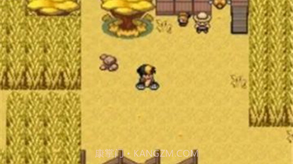 口袋妖怪九重天内置菜单汉化版截图3 口袋妖怪九重天内置菜单汉化版截图3