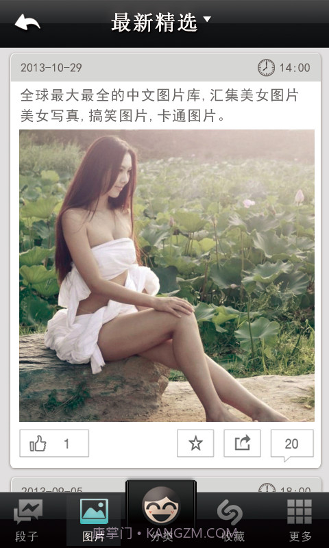 菊花爆点截图3 菊花爆点截图3