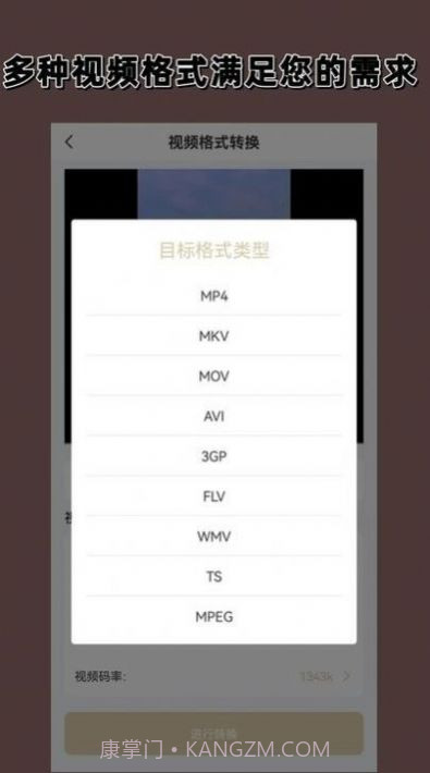 视频格式转换大师截图3