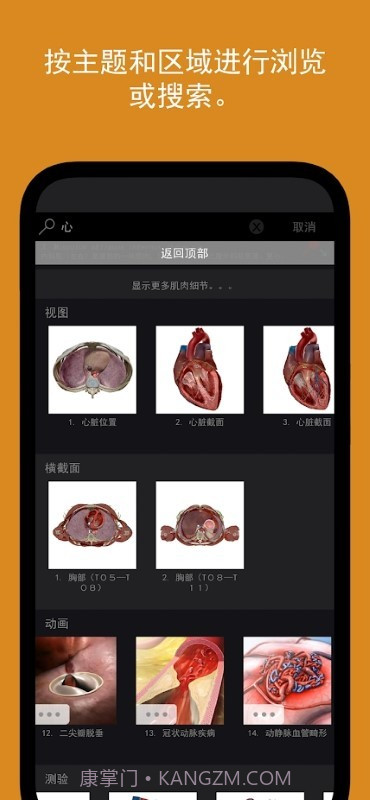 人体解剖学图谱截图4 人体解剖学图谱截图4