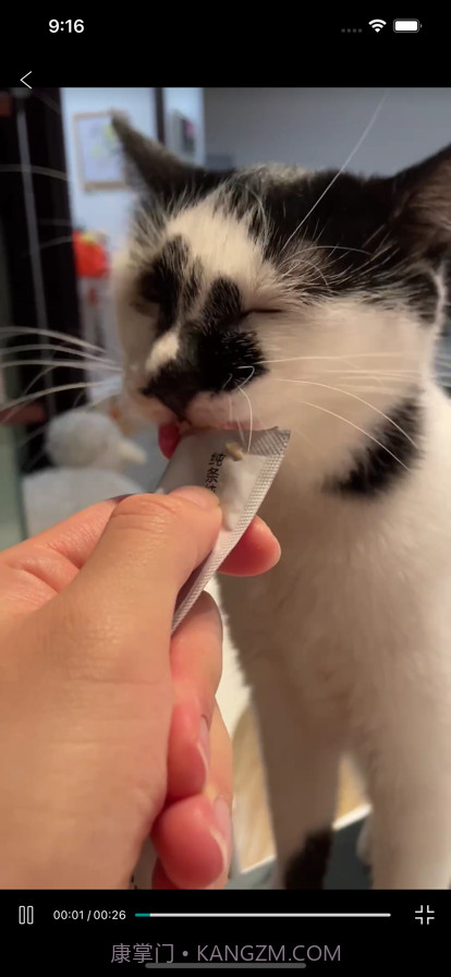 观影见闻录截图3