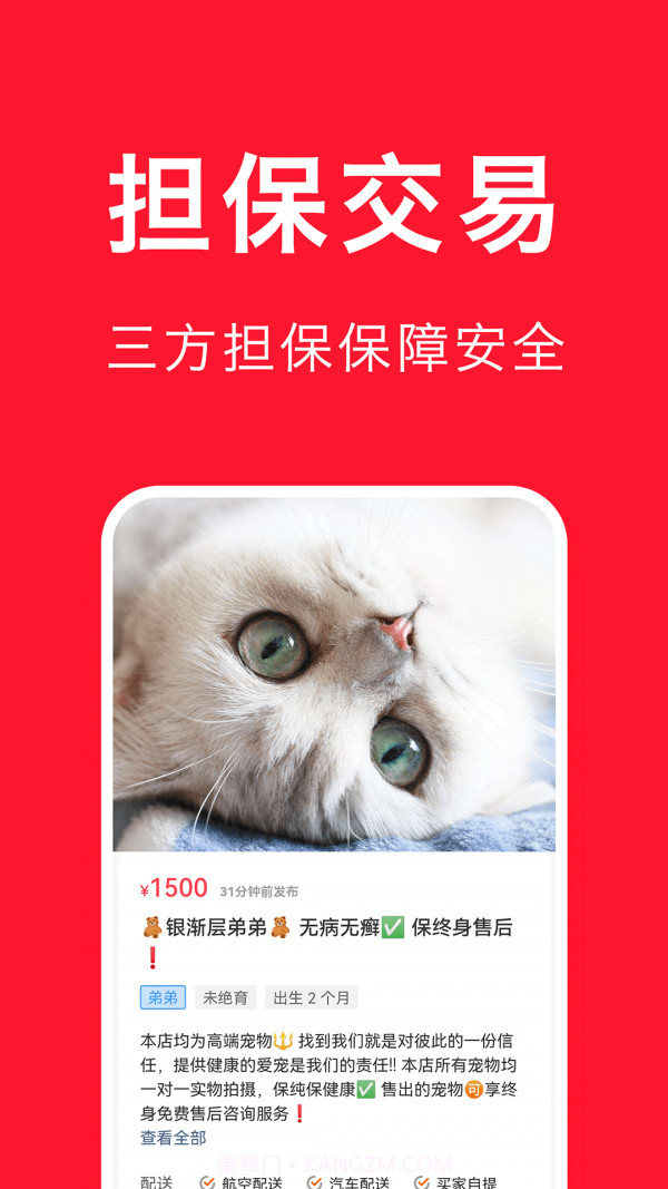宠物宝截图3 宠物宝截图3