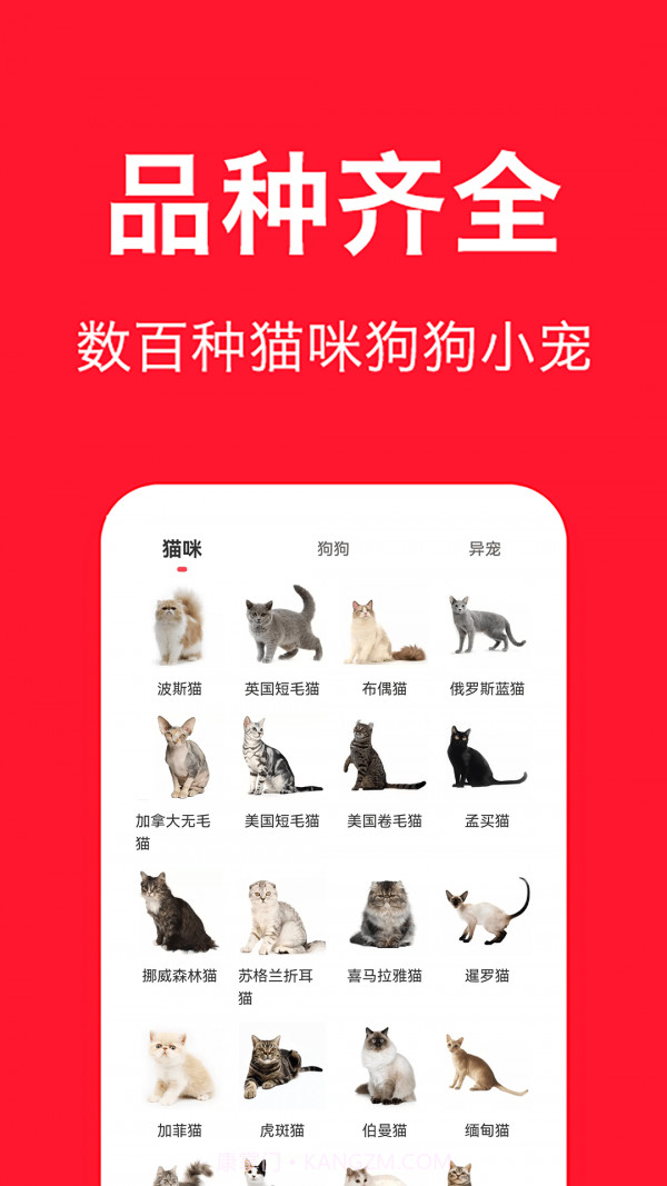 宠物宝截图1 宠物宝截图1
