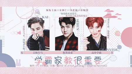 嫁给边伯贤的一百个理由截图2 嫁给边伯贤的一百个理由截图2