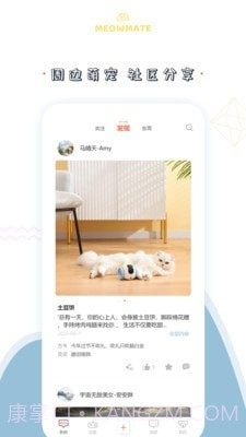 MeowMate截图3