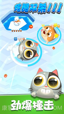 暴走碰碰球官网版截图4 暴走碰碰球官网版截图4