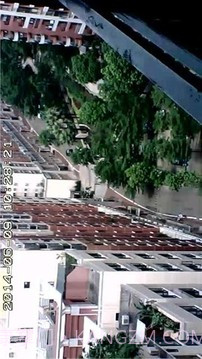 智能眼截图5 智能眼截图5