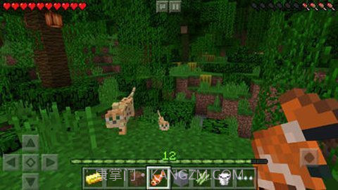 我的世界 1.11.0.1版截图1 我的世界 1.11.0.1版截图1