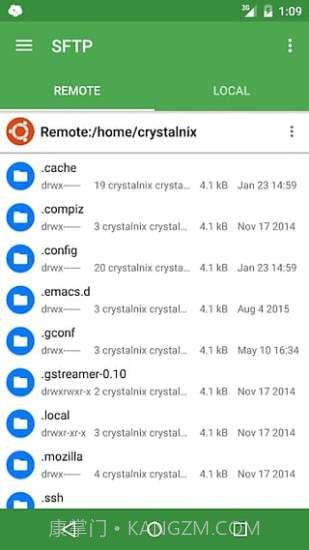 Server Auditor截图3