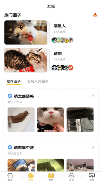 友猫社区手机版截图2