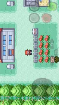 口袋妖怪 绿叶版截图4