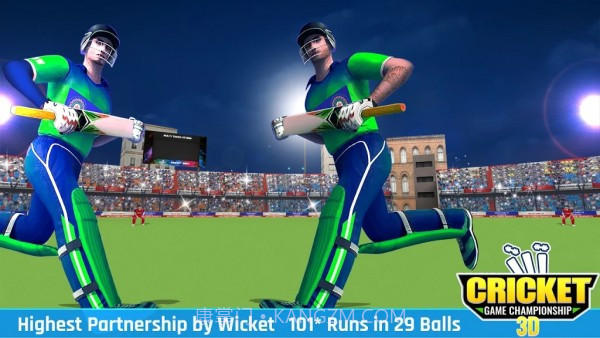 板球比赛冠军3D截图3
