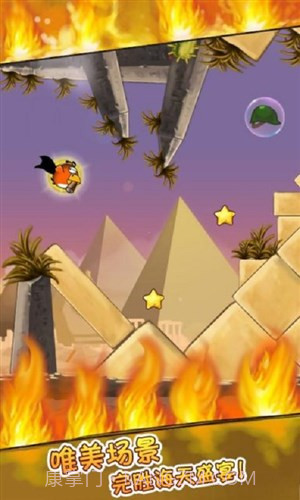 全民鸟截图2 全民鸟截图2