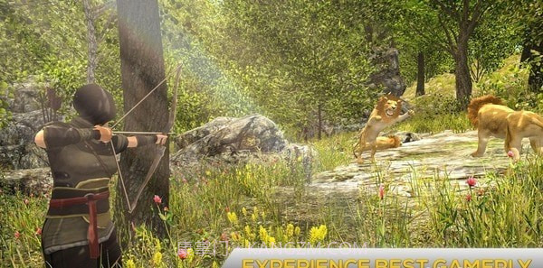 猎鹿王2021截图2 猎鹿王2021截图2