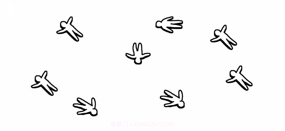 Kids截图2 Kids截图2