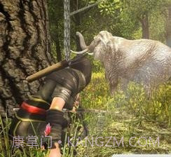 猎鹿王2021截图4 猎鹿王2021截图4