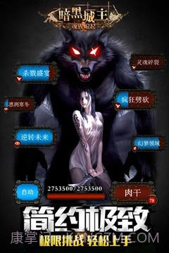 暗黑城主单机版截图5