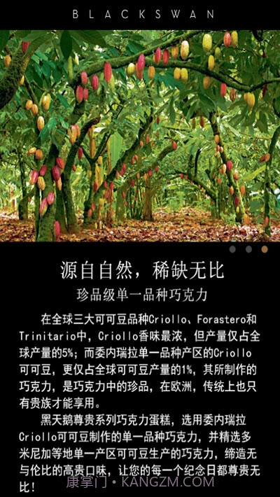 黑天鹅蛋糕截图3 黑天鹅蛋糕截图3