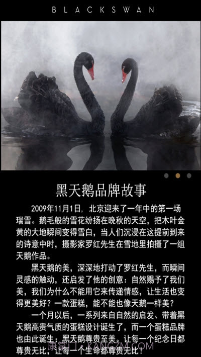 黑天鹅蛋糕截图2 黑天鹅蛋糕截图2