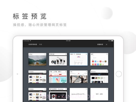 松鼠图标的浏览器截图4 松鼠图标的浏览器截图4