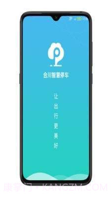 合川智慧停车截图2