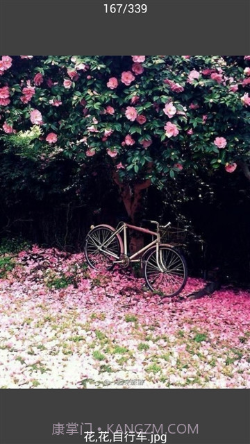 All图片批量下载截图3