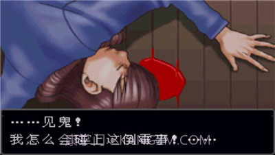 逆转裁判手机版截图3 逆转裁判手机版截图3