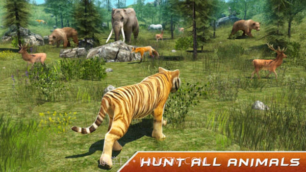 野生老虎模拟器官网版截图1