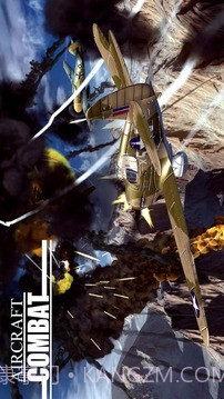 空战完美官网版截图5