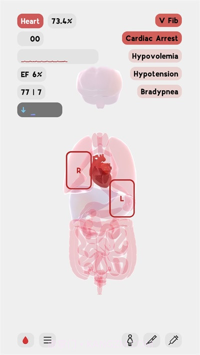 生命人体模拟器截图2 生命人体模拟器截图2