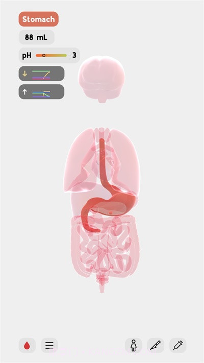 生命人体模拟器截图4 生命人体模拟器截图4