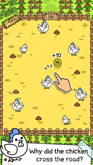 小鸡的进化截图4