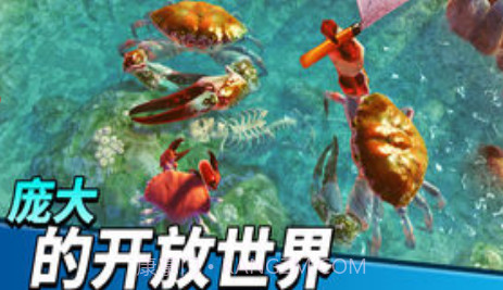 猛蟹之王截图3 猛蟹之王截图3