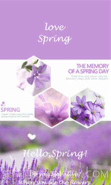 你好春天(你好春天壁纸软件)v3.5.14 正式版截图4 你好春天(你好春天壁纸软件)v3.5.14 正式版截图4